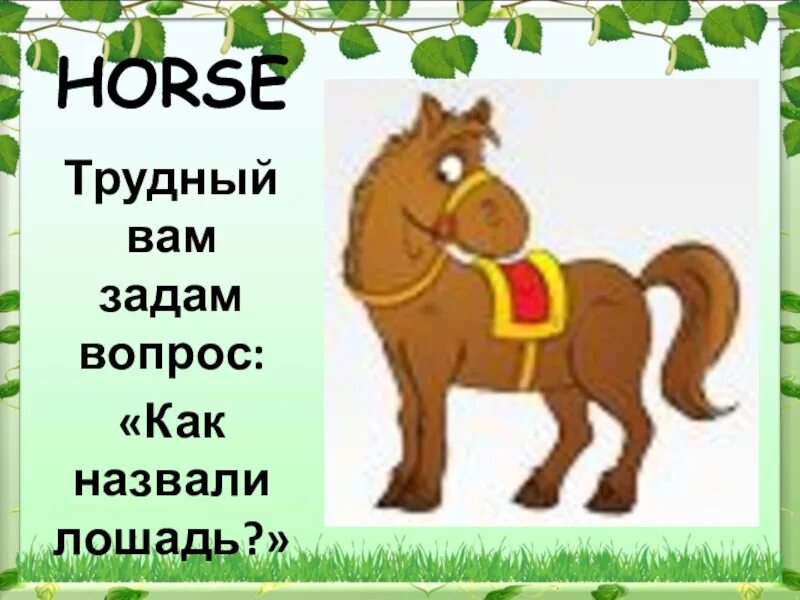 Слово без коня. Лошадку зовут. Как назвать коня. Как могут звать коня. Как зовут коня.
