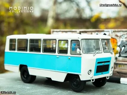 Наши автобусы модимио график выхода насекомые