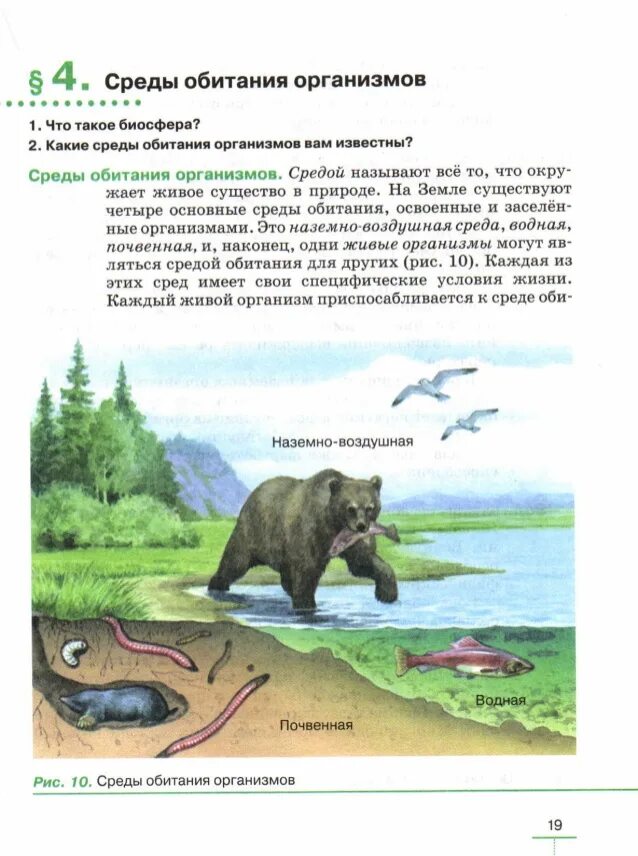 Какую среду обитания освоили. Какую Спедц оьитания освоиоа яьлоея. Какую среду обитания освоила яблоко. Биология 5 класс учебник страницы. Какую среду обитания освоила сыроежка биология 5