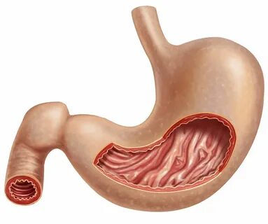Анальный секс онлайн көру