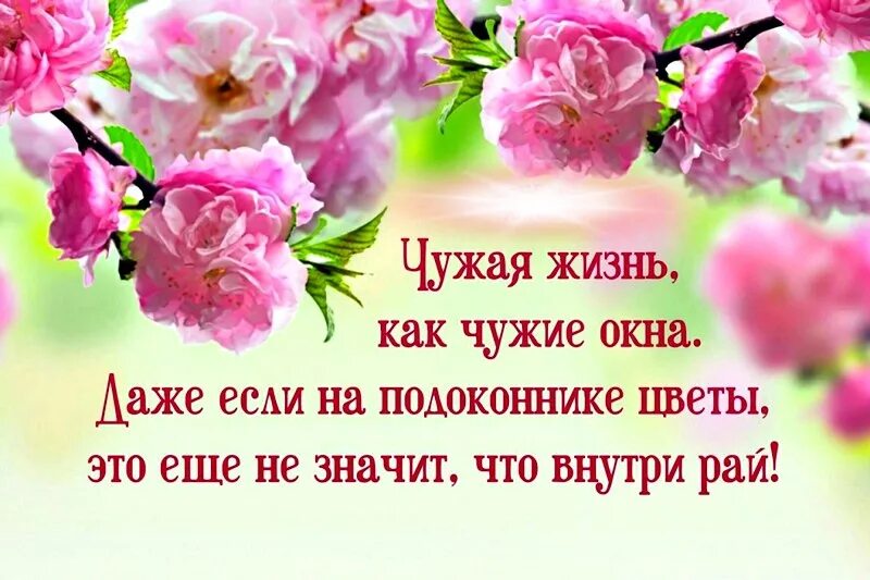 Чуждая жизнь. Когда судите о чужой жизни запомните одно. Когда вы судите о чужой жизни. Чужая жизнь как чужие окна даже если. Уважение к чужой жизни.