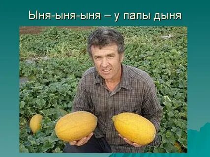 Купили 3 дыни