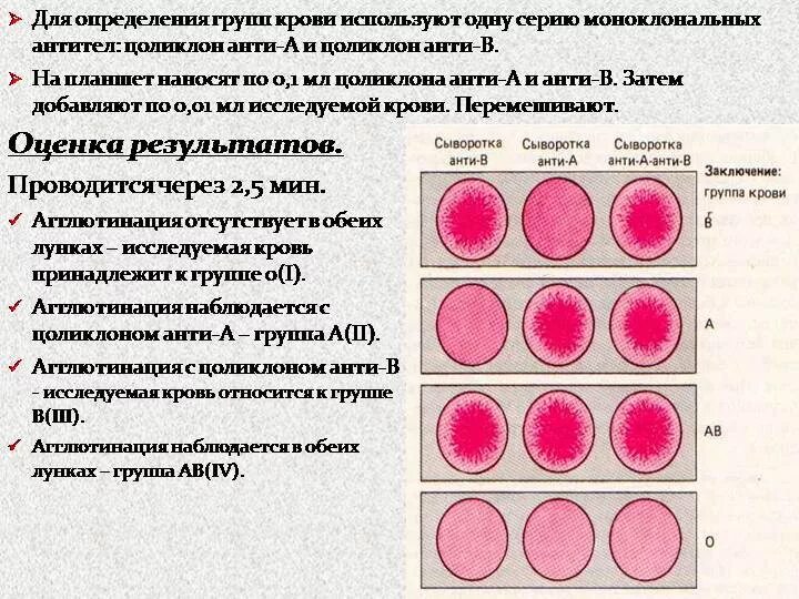 Результаты определения группы крови. Группа крови Цоликлоны резус фактор. Цоликлоны анти резус. Тест определение группы крови цоликлонами. Цоликлоны 1 группа крови.
