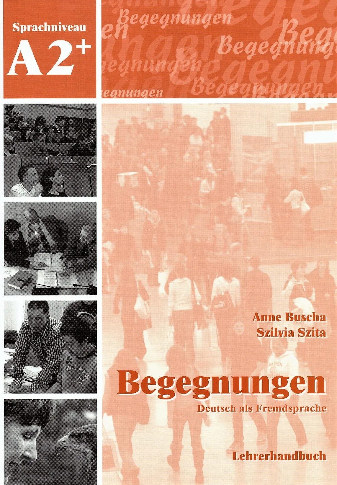 Begegnungen. Немецкий язык begegnungen a1. Begegnungen b1. Учебник по немецкому begegnungen. Begegnungen учебник.
