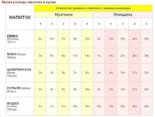 Через сколько за руль после шампанского