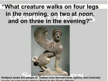 Four legs
