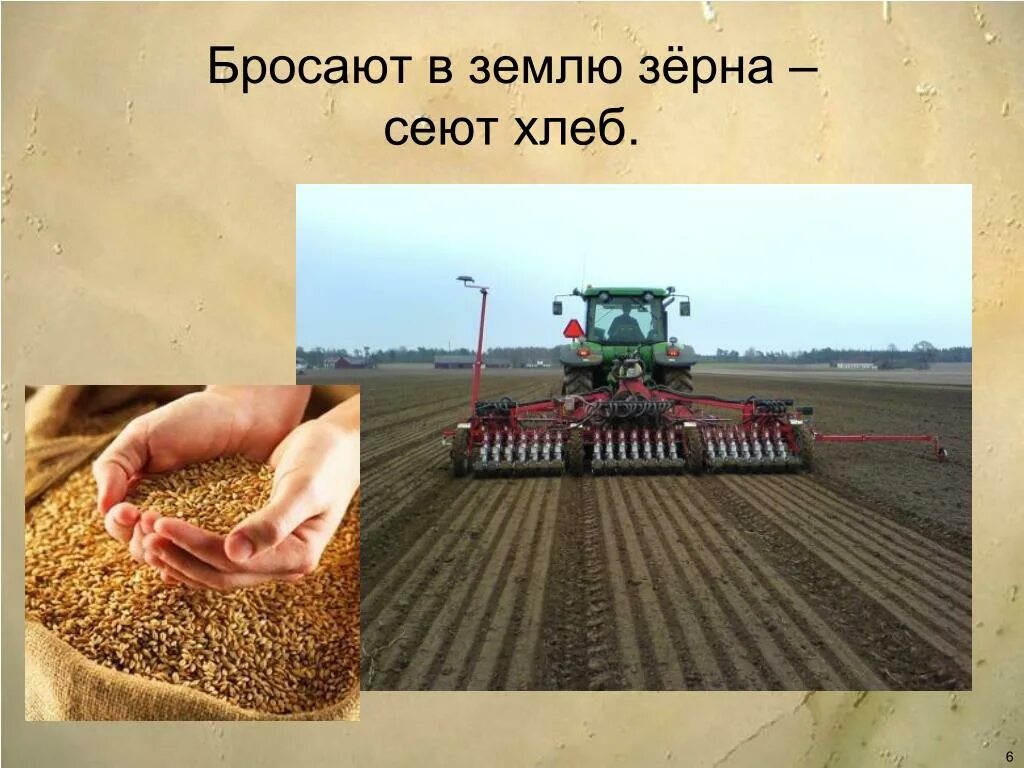 крестьянин сеет рожь. две басни крылова. муму барыня и лекарь. владелец потчевать засеянный горшочек. посев хлеба.