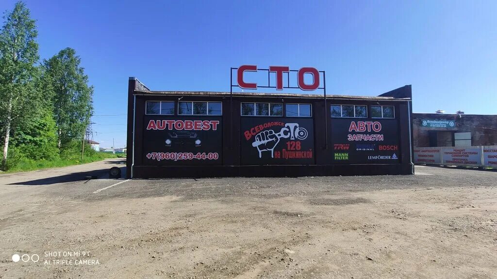 всеволожск пушкин