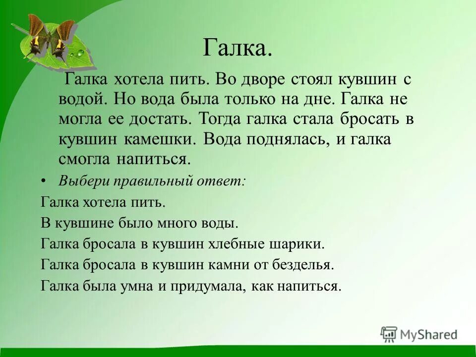 Хотела галка пить. Галка и кувшин басня. Л.Н.толстой"Галка". Хотела Галка пить на дворе стоял кувшин с водой. Басня Толстого Галка и кувшин.