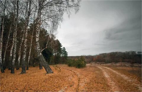 Поздняя осень отзывы