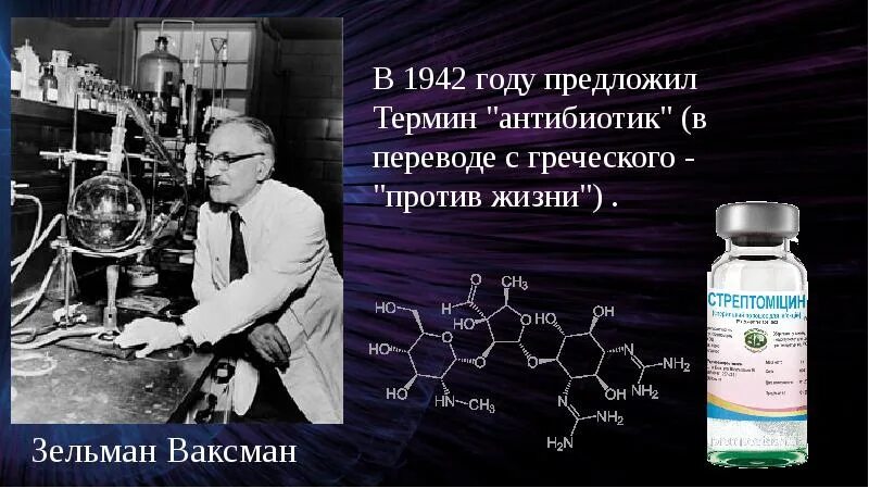 Кем был предложен термин антибиотик. Ваксман стрептомицин. зельман ваксман стрептомицин. термин антибиотик ваксман. открытие антибиотика стрептомицина.