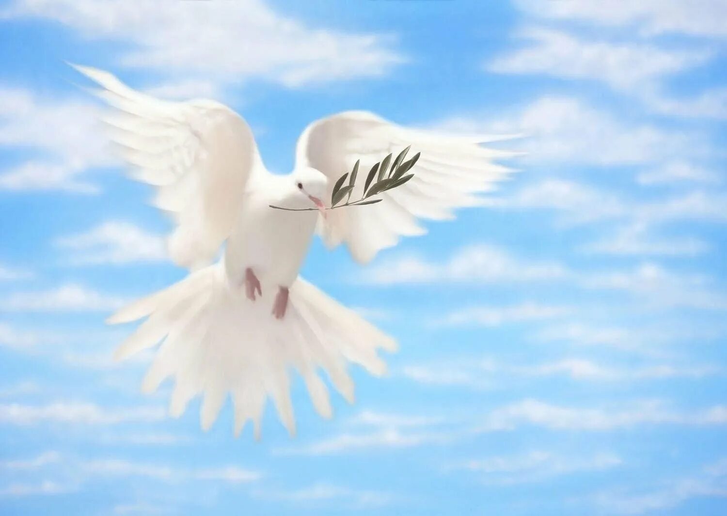 Бесплатные картинки с мирным небом