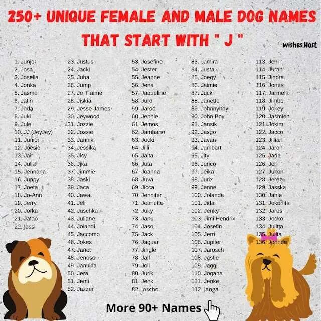 Клички для больших собак. Male Dog names. Имя для собаки игрушки мальчика. Китайские имена для собак мальчиков. Имя для собаки мальчика и их сокращения.