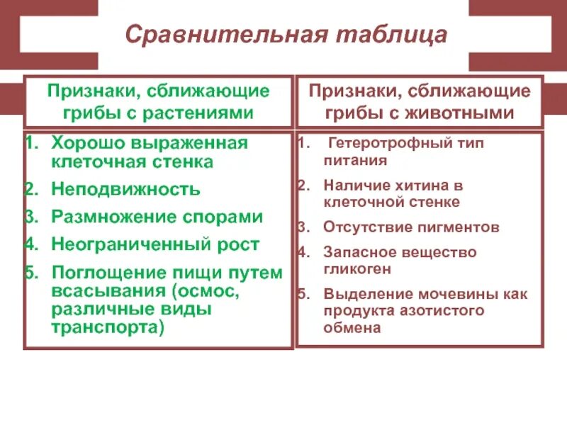 Признаки грибов кратко. Признаки грибов сближающие их с растениями и животными. Признаки грибов сближающие их с царством животных. Какие признаки сближают грибы с животными. Признаки грибов которые сближают их с растениями.