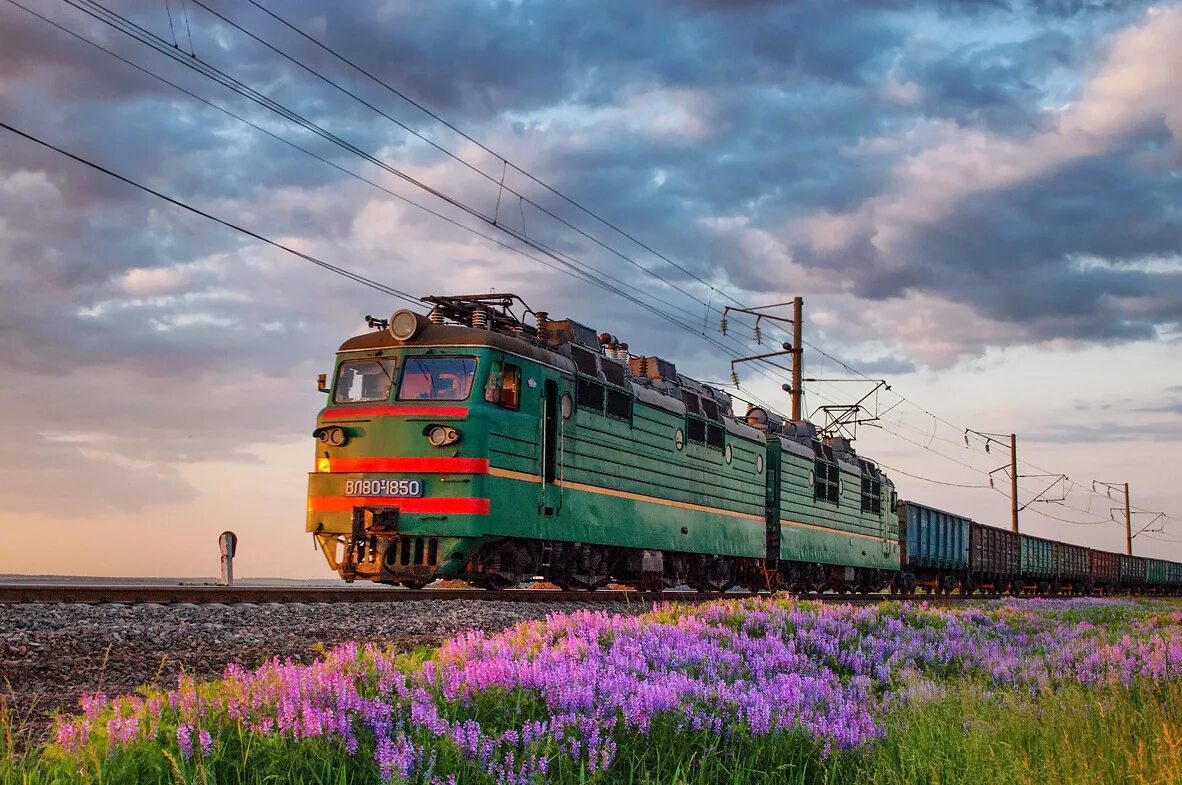 Поезд едет в поле. Вл80т 1850. вл80с владивосток. поезд.