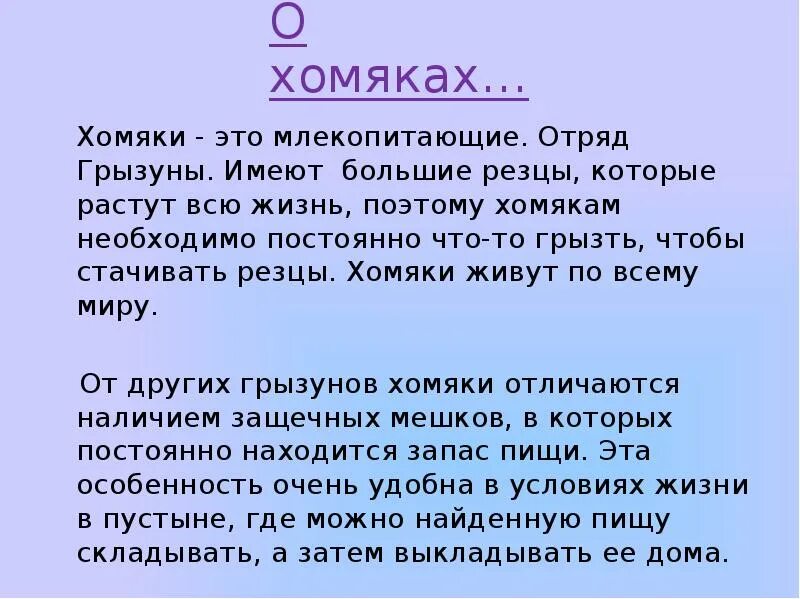 Хомяка 4 класс. Доклад про хомяка 2 класс. Доклад про хомяка 2 класс окружающий мир. Сообщение о хомяке. Доклад о хомячке.