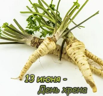 Хрен fb2