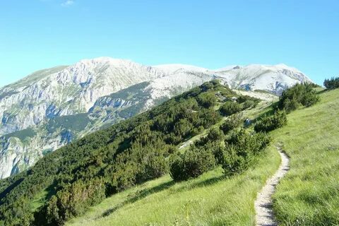 Mountain article