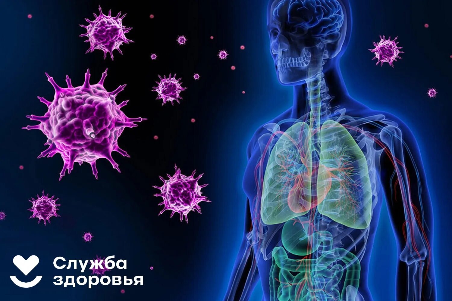Органы иммунной системы - ГБУЗ РТ "Реснаркодиспансер"