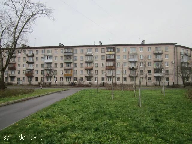 Петергоф ул братьев горкушенко. Горкушенко 1 петергоф. улица братьев горкушенко петергоф. озерковая улица петергоф. братьев горкушенко 9.