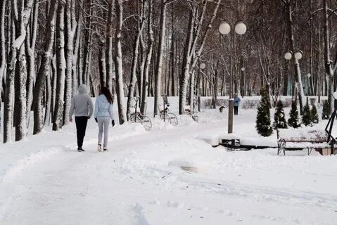 Парк для прогулки зимой