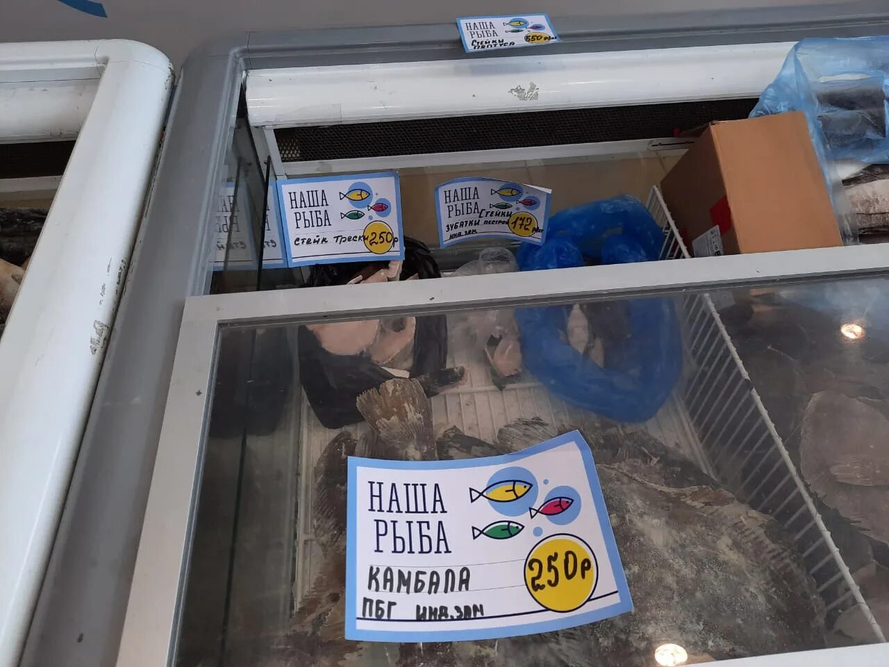 Мурманская рыбная ярмарка. Мурманск форум рыбная. Ярмарка наша рыба в мурманске. Рыба мурманск вкусная. Рыбный рынок в мурманске.