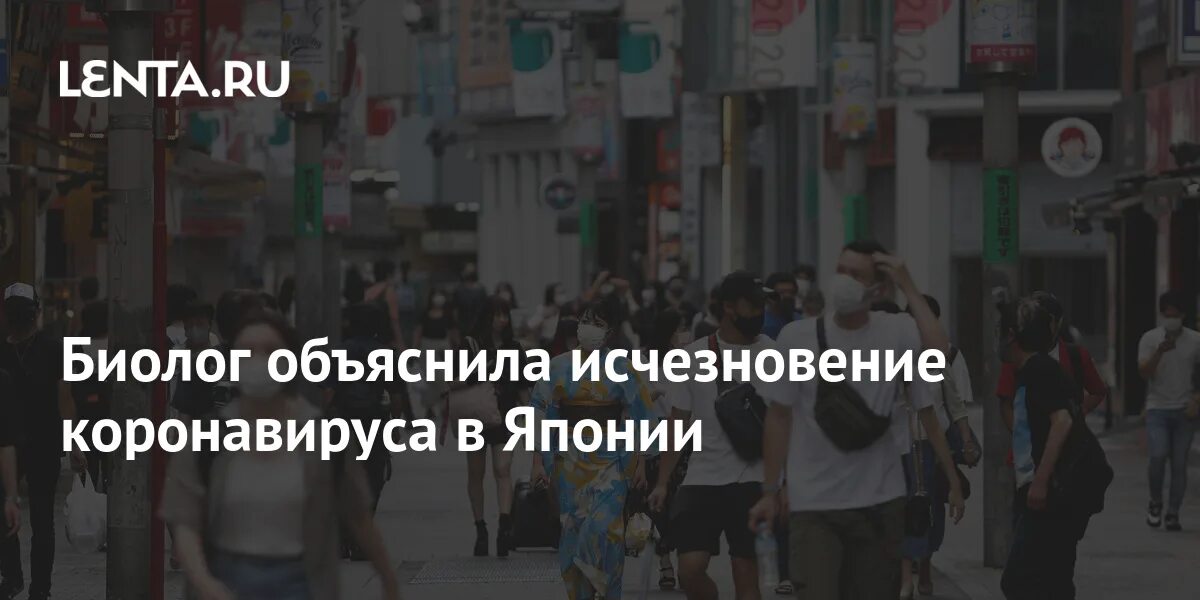 Фото мужчина уходит в даль. Объявление о пропаже собаки. Возникновение новых элементов и исчезновения старых. Муж ушел без объяснения причин. Объяснить исчезать.