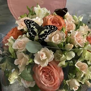 Красивые букеты бабочки