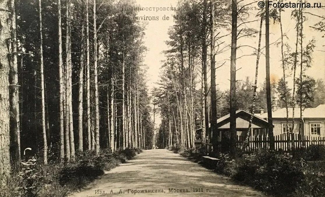 Старый просек