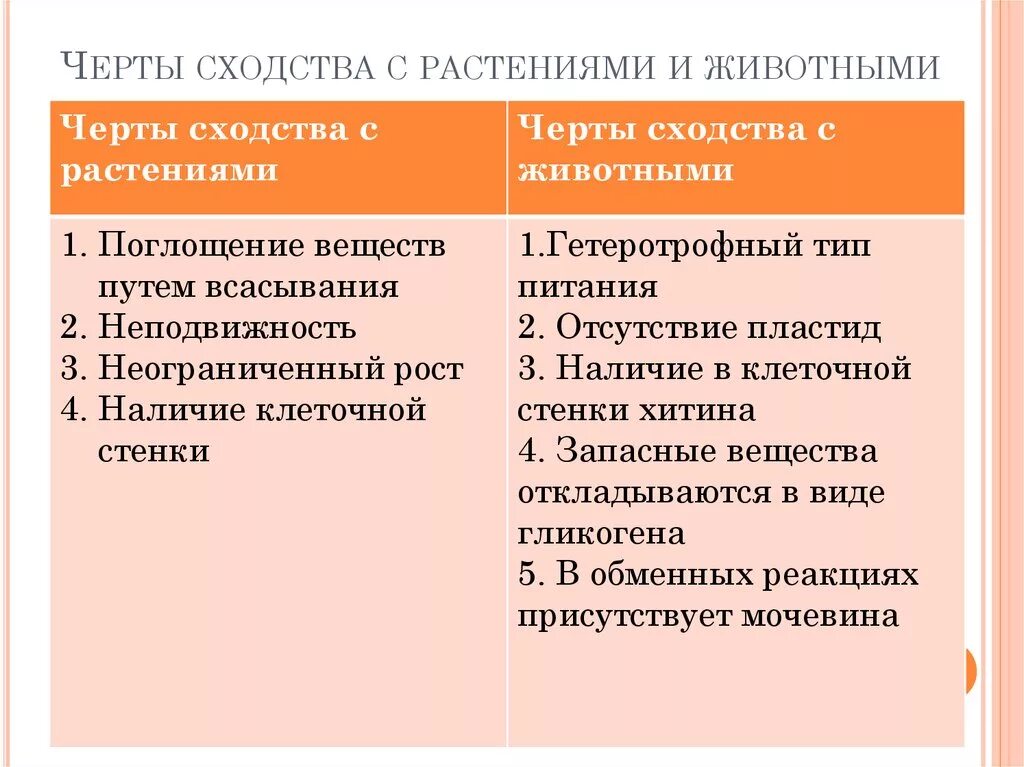 Черты сходства растений и животных. Признаки сходства растений и животных. Сходства и различия животных и растений. Черты сходства с растениями. Признаки и черты различия