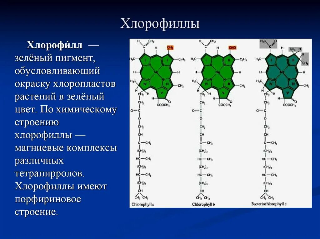 Строение пигментов. Е140 хлорофилл. Хлорофилл формула у растений. Формула хлорофилла в биологии. Хлорофилл б хлорофилл а каротиноиды.