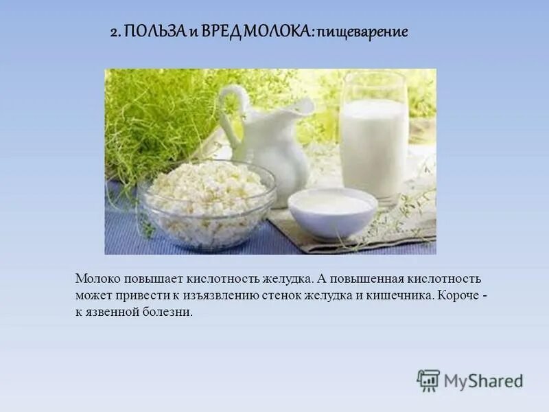 кисломолочные продукты повышают кислотность. маркировка кисломолочных продуктов. кисломолочные продукты повышают кислотность. показатели кислотности молока. кисломолочные продукты повышают кислотность.