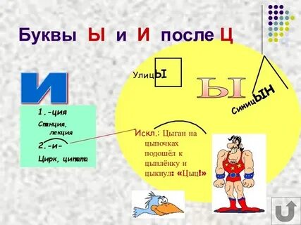 После ци