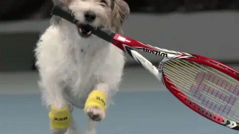 Could you play tennis