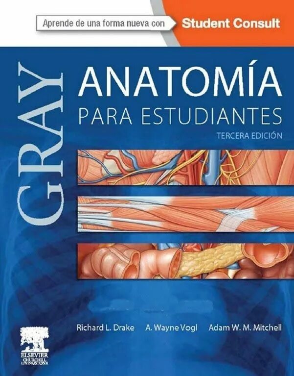 Атлас грея. Книга Gray's Anatomy for students. Grey's Anatomy книга. Sobotta Atlas. Gray`s Anatomy for students and Paulsen: Sobotta, Atlas of Anatomy 3e ed. Package,.