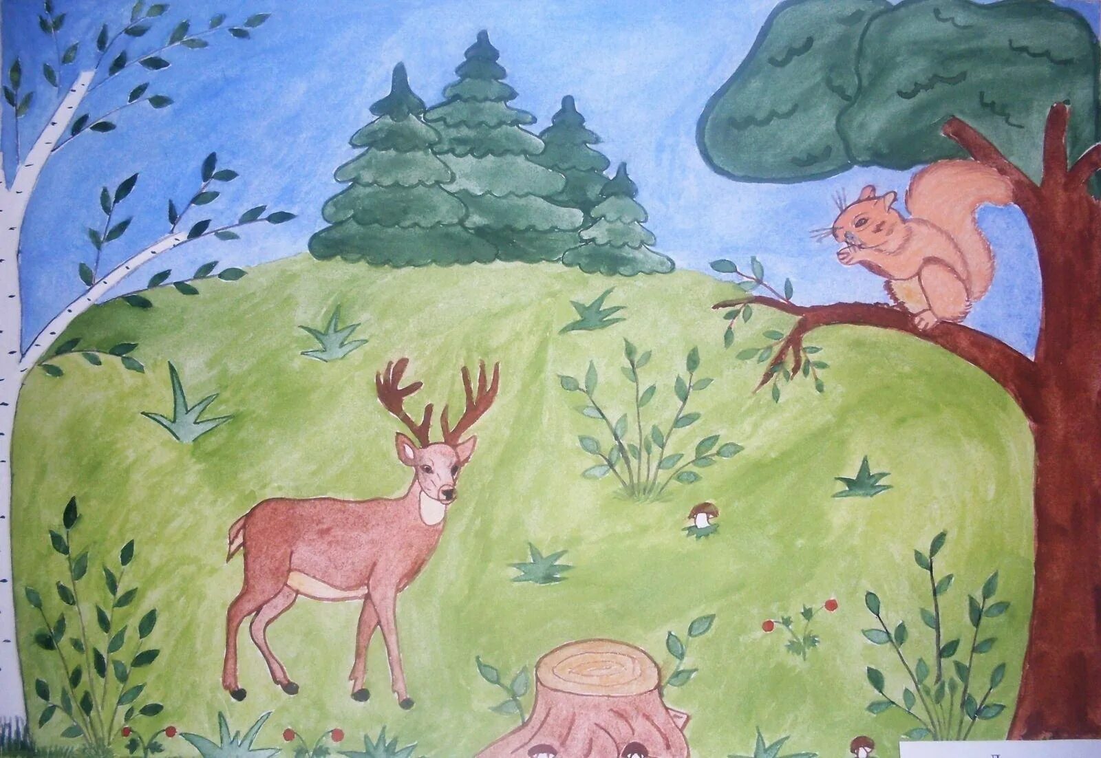Сказка живая природа. Рисунок леса. Рисунок на тему лес. Детские рисунки лес. Природа рисунок для детей.