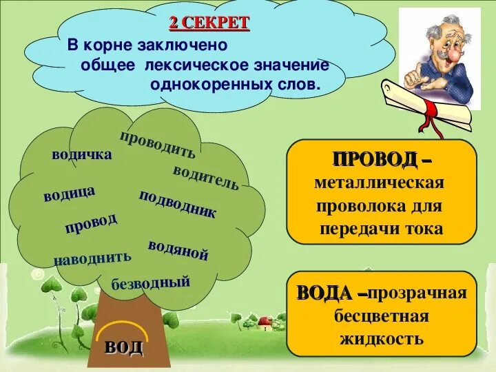 Родной где корень. Корень слова 5 класс. Корень слова тема урока. Тема урока однокоренные слова. Презентация по русскому языку 5 класс.