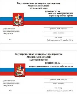Амурская область пропуск