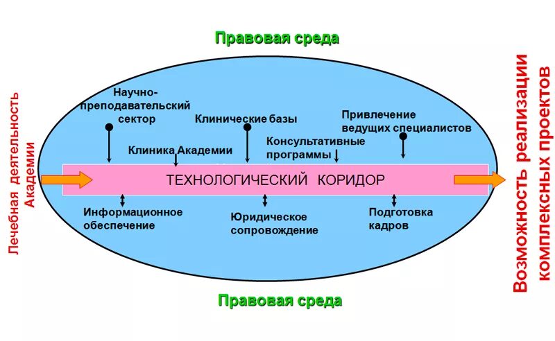 Подготовка окружение. Правовая среда бизнеса. Клинический сектор. Политико правовая среда. Преподаватель клинического сектора.