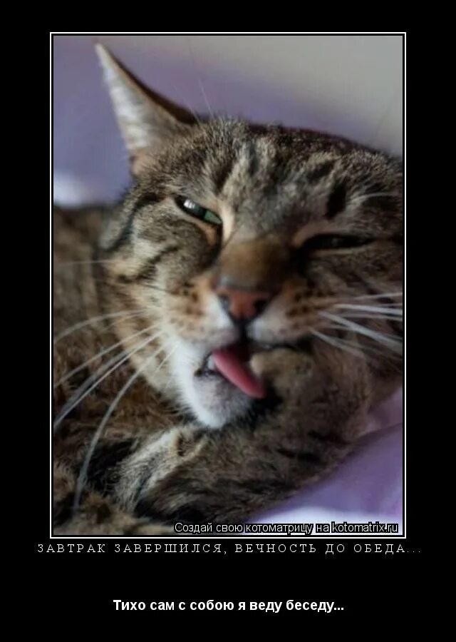 как научиться произносить букву р. работа сам на себя. прикусывание губы. тихо сам с собою я веду беседу юмор. язык мой враг мой прежде ума.