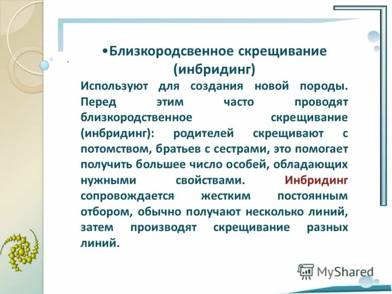 Близкородственное скрещивание. Близкородственное скрещивание это кратко. Инбридинг используется для. Зачем в практике используют близкородственное скрещивание?. Получение чистых линий инбридингом