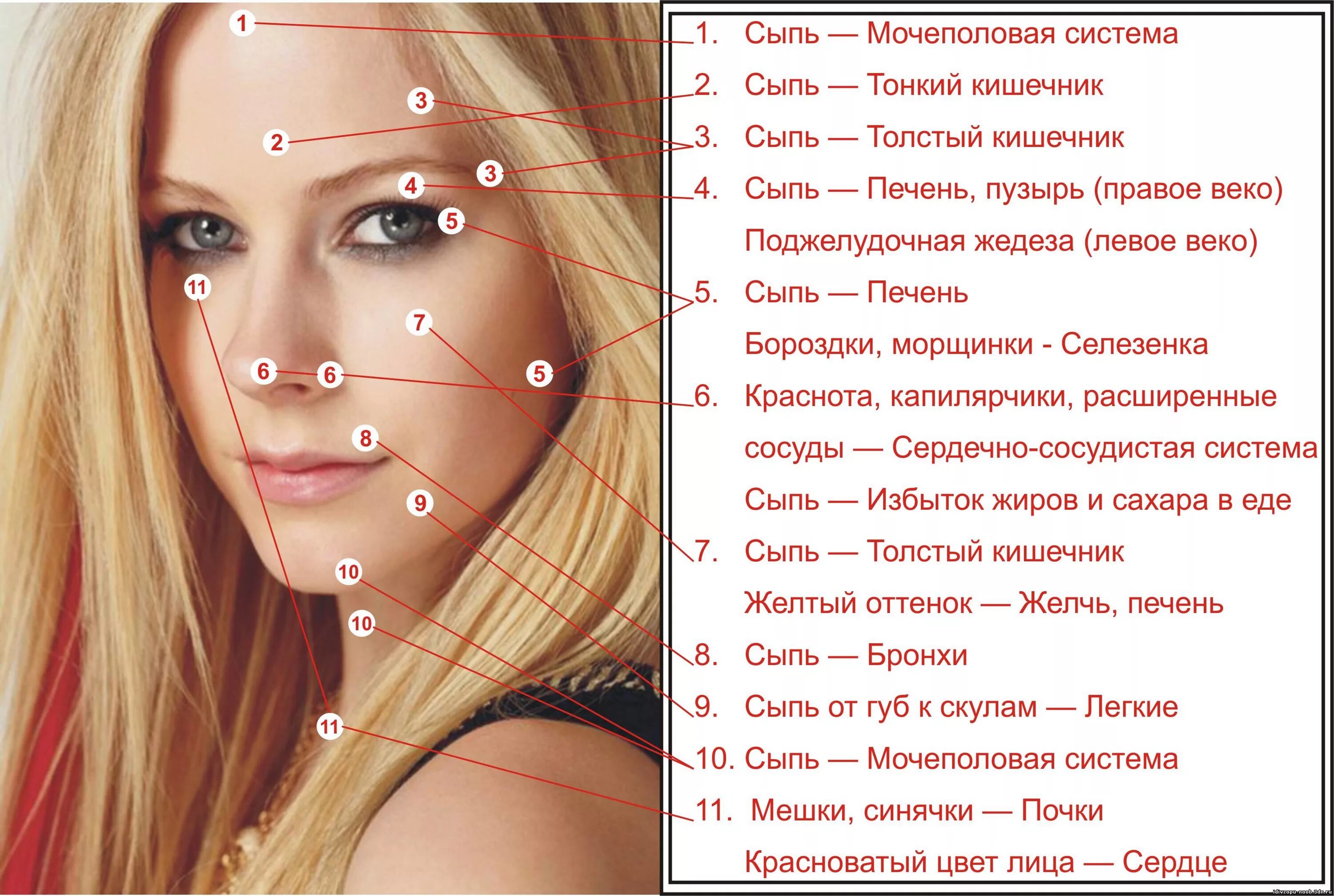 Лицо высыпания какие органы
