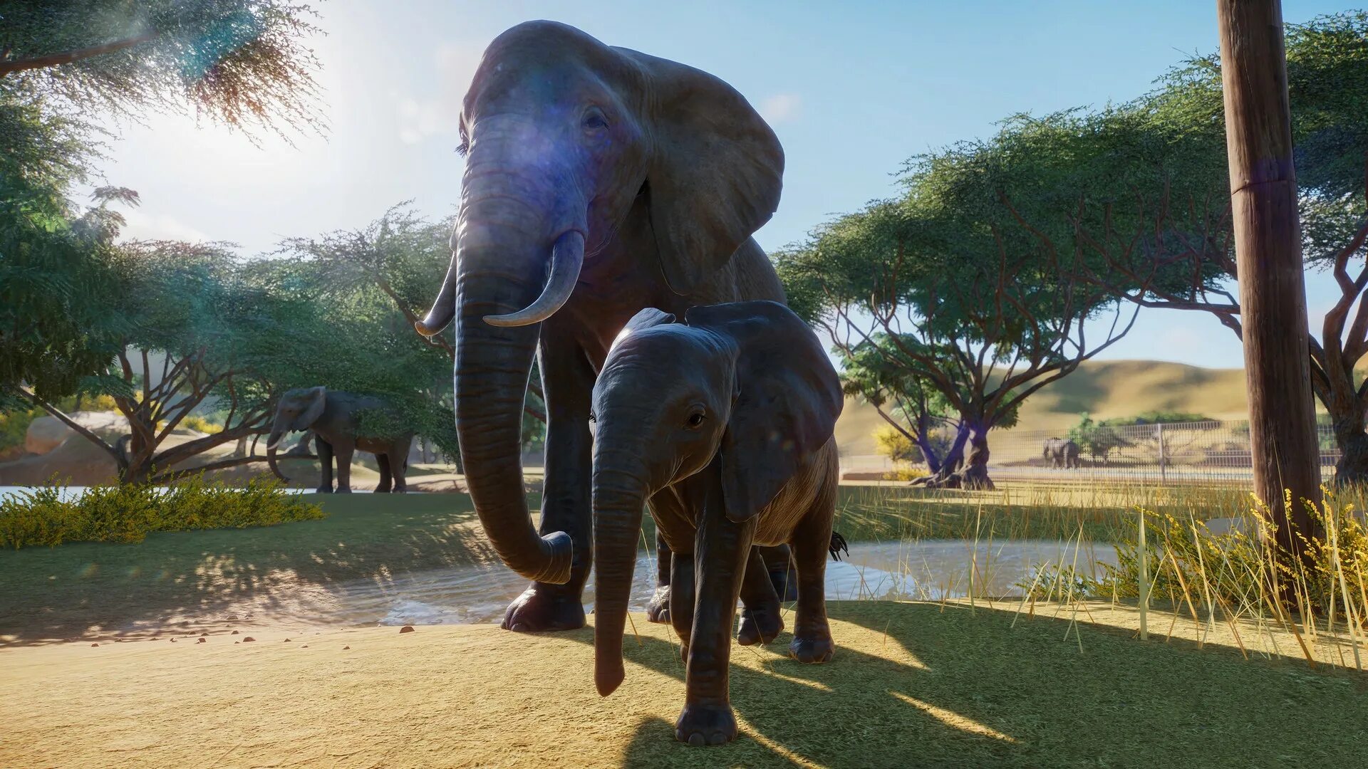 Планет зу. Игра planet zoo. зоопарки в игре планета зоо. planet zoo: deluxe edition. planet zoo 2019.