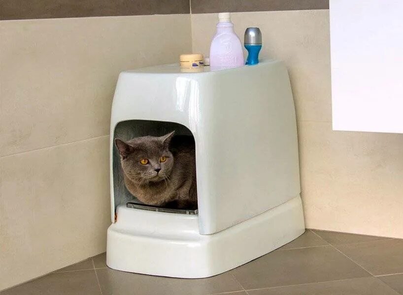 Закрыть кота