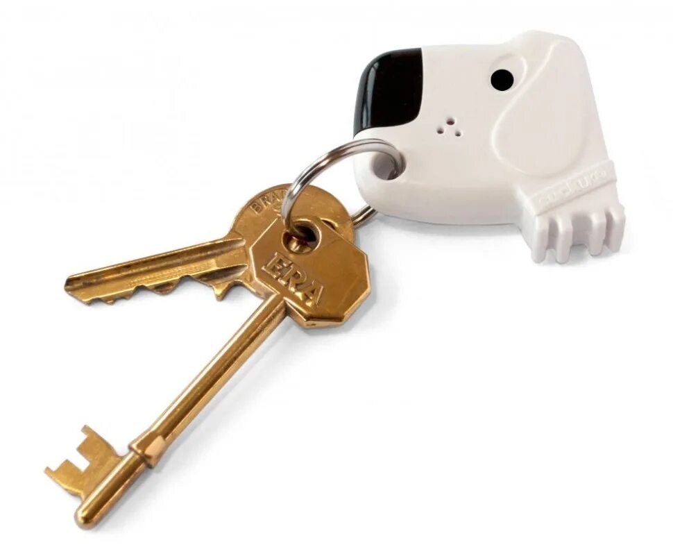Want keys