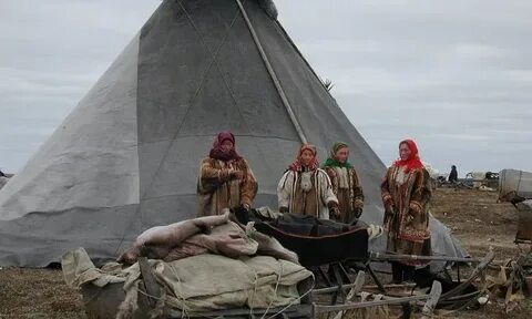 Северные кочевые племена