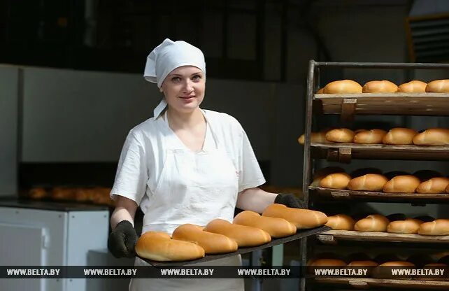 Борисовхлебпром. Борисовхлебпром