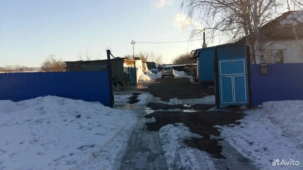 Погода в добровольске омской. Добровольск омская область. Село добровольск. Погода в добровольске омской. Погода в добровольске омской.