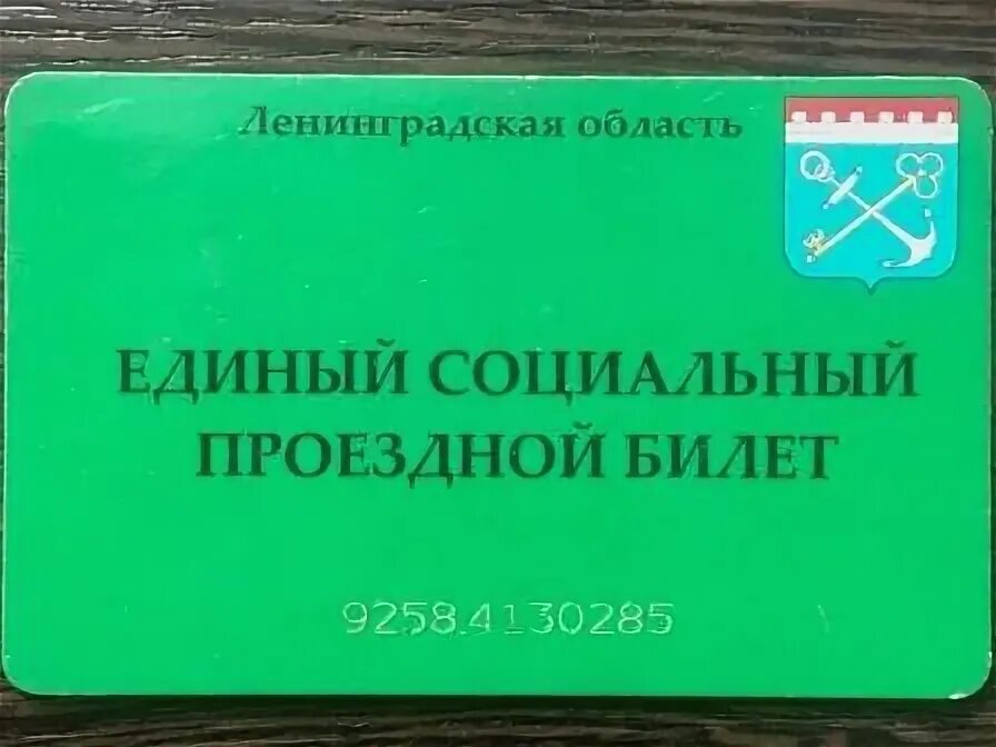 Проездной лен обл. Проездной лен обл. Единые именные льготные проездные билеты. Социальный проездной билет в ленинградской области. Береста транспортная карта.