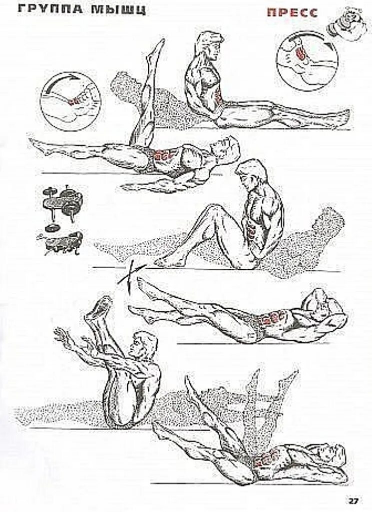 Мышцы пресса упражнения схема. Как прокачать мышцы живота. Упражнения для мышц пресса. Как качать нижний пресс в домашних условиях. Упражнения для нижнего пресса.